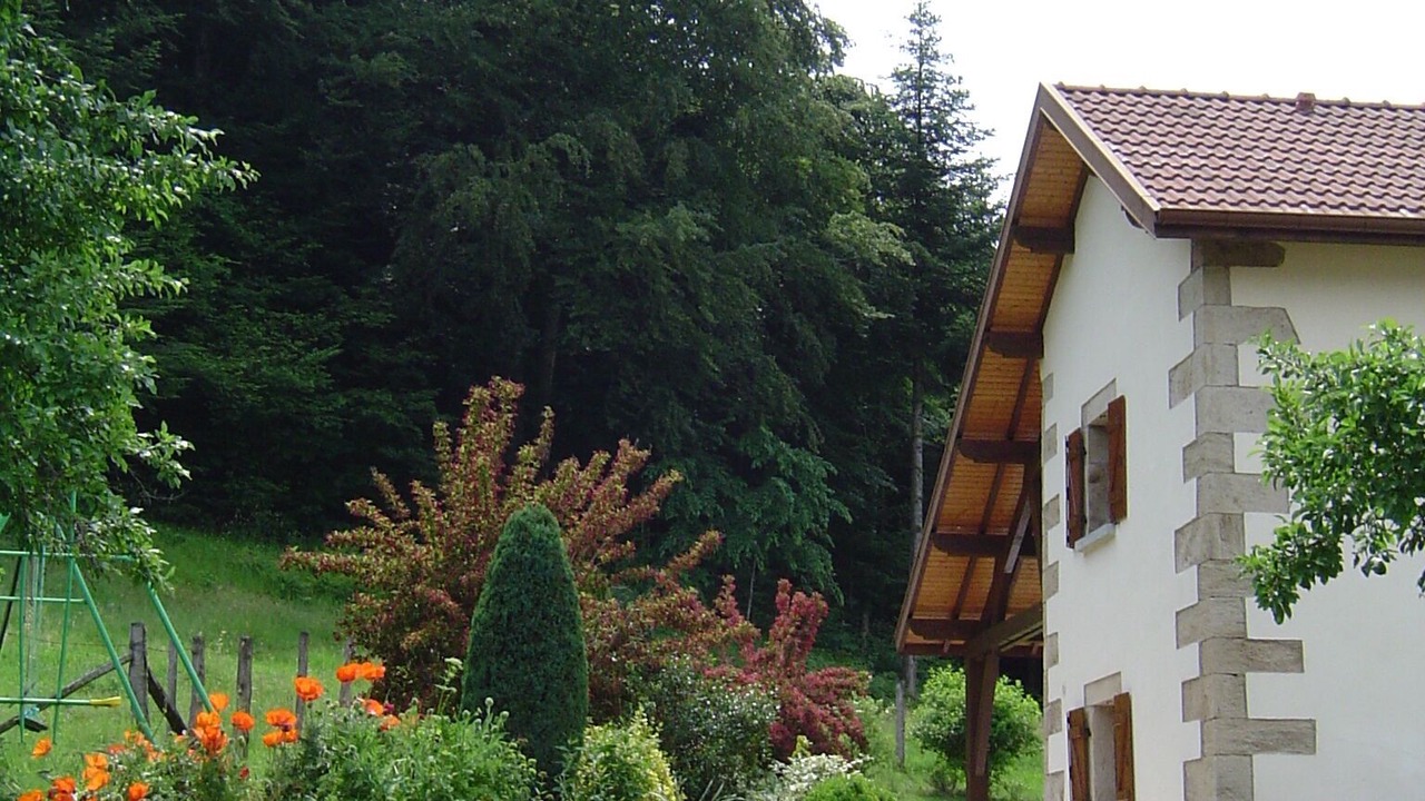 Photo of Outdoor in Le Val-d'Ajol