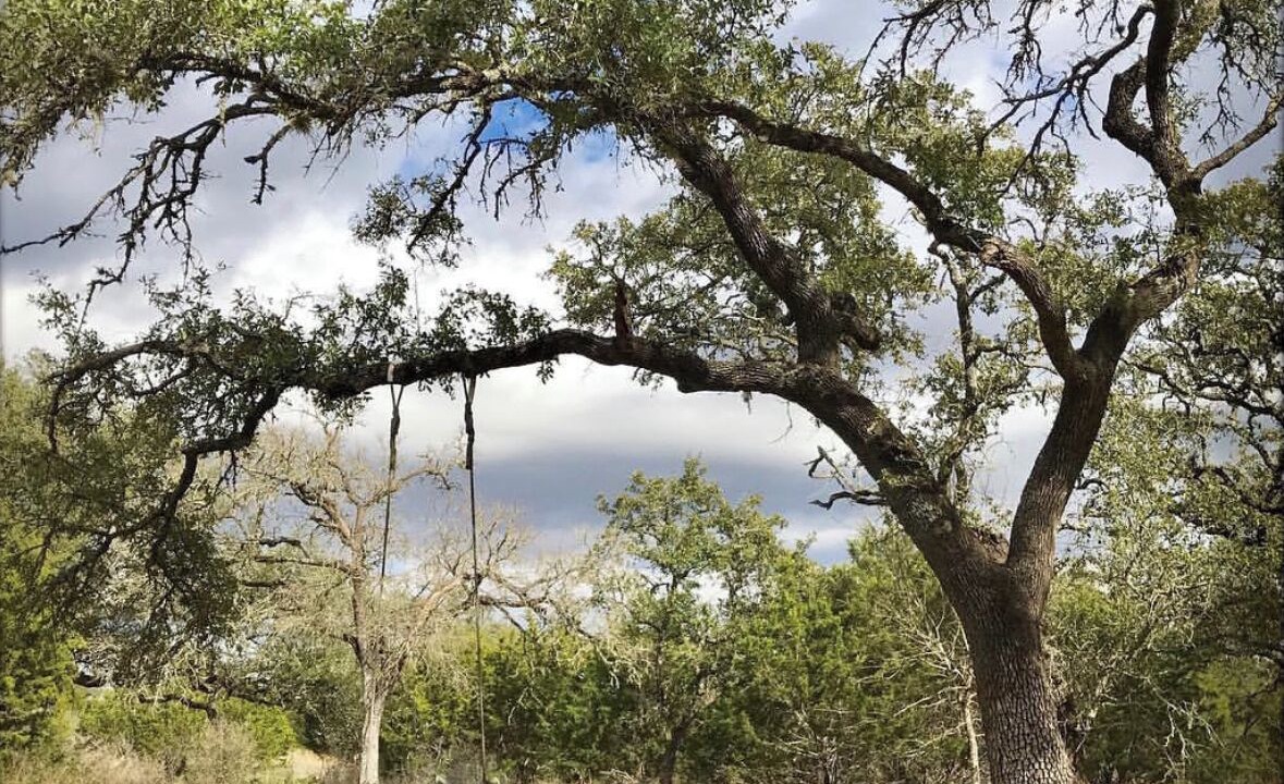 Photo of Outdoor in San Marcos