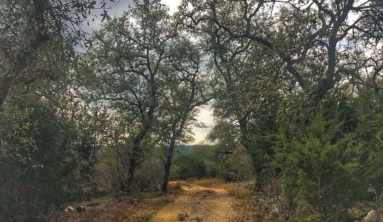Photo of Outdoor in San Marcos
