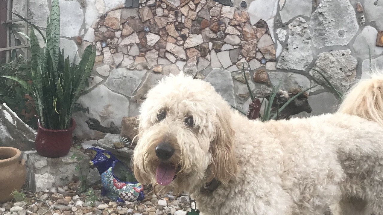 Photo of Outdoor in San Marcos