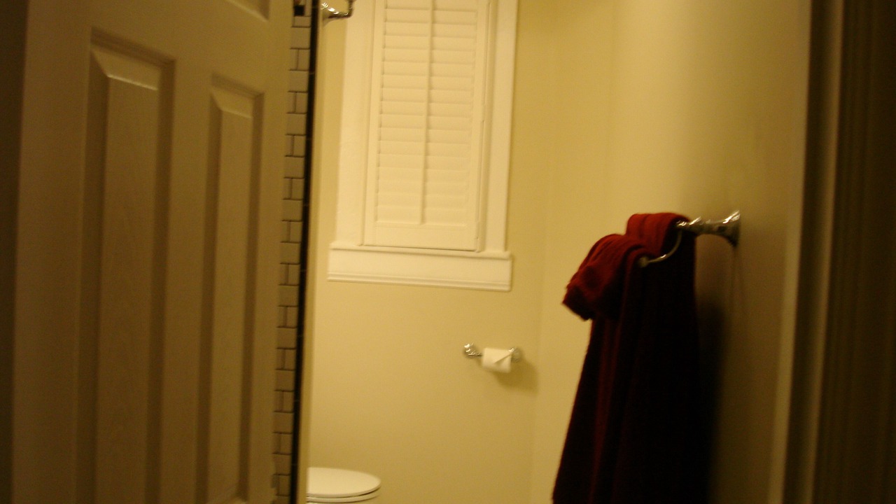 Photo of Bathroom in Soulard