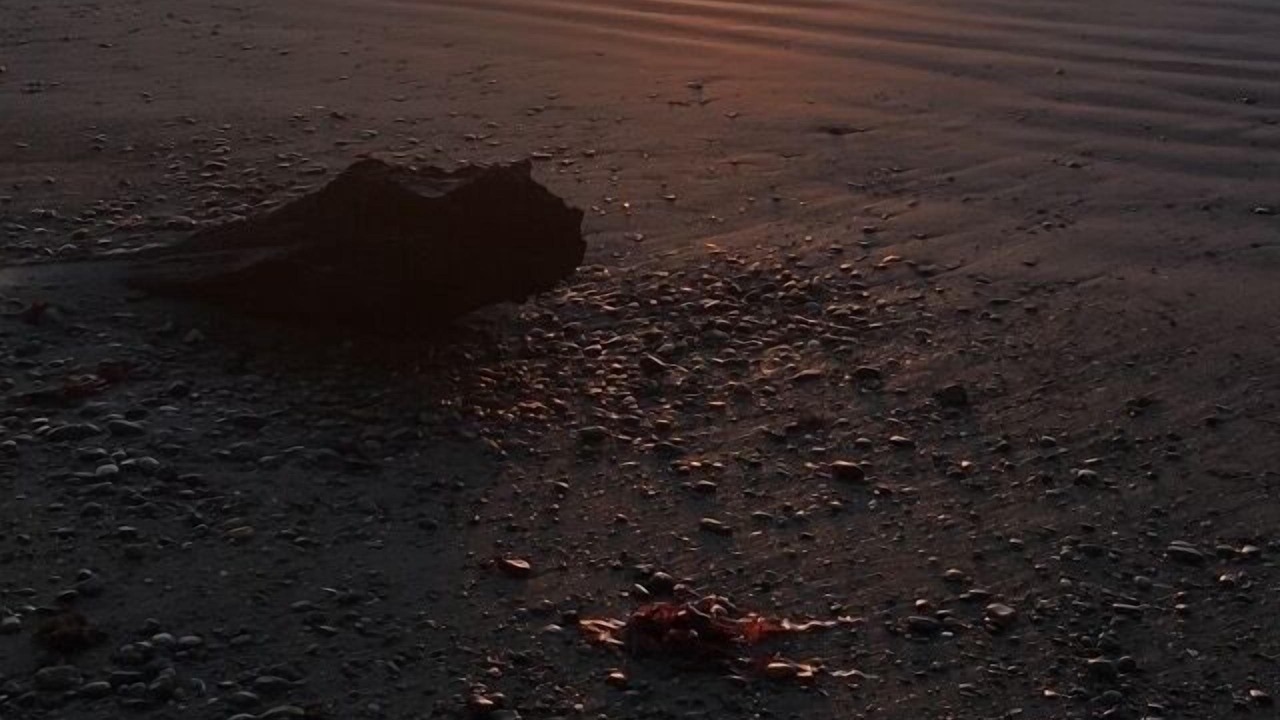 Photo of Others in Riverton