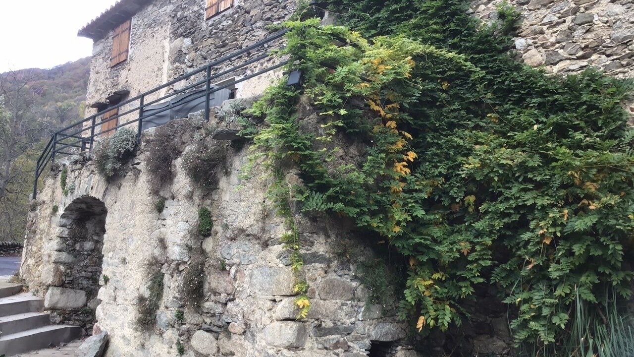 Photo of Outdoor in Prats-de-Mollo-la-Preste