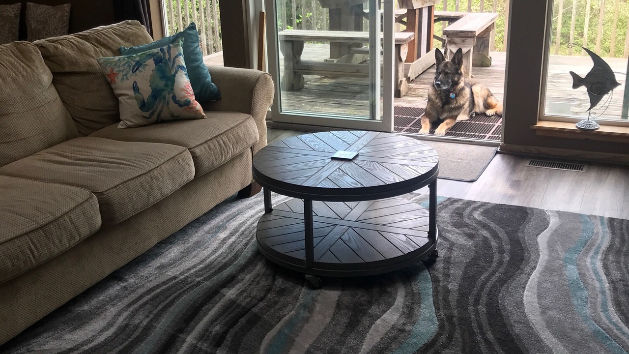 Photo of Livingroom in Long Beach