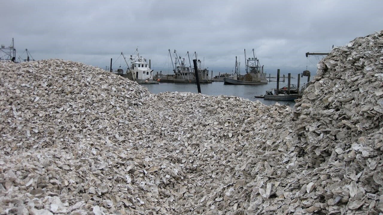 Photo of Others in Long Beach