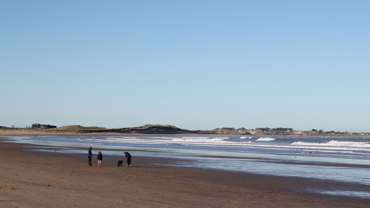 Photo of Others in Beadnell