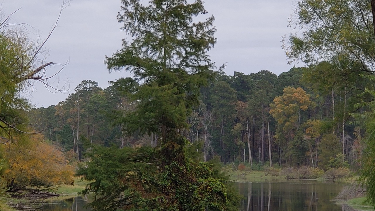 Photo of Outdoor in Zavalla
