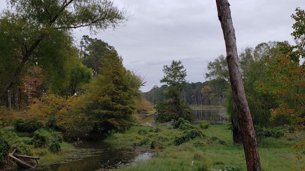 Photo of Outdoor in Zavalla