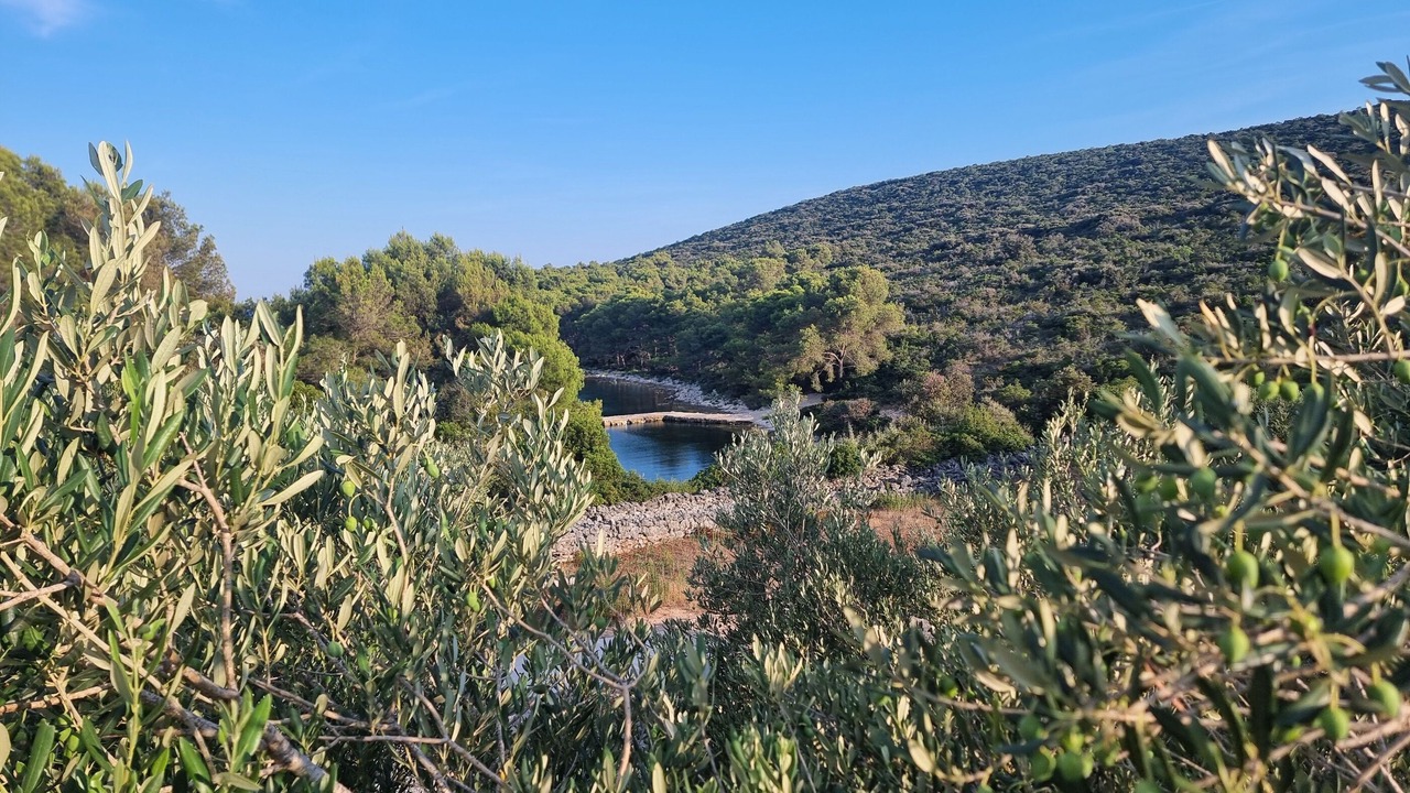 Photo of Outdoor in Kraj