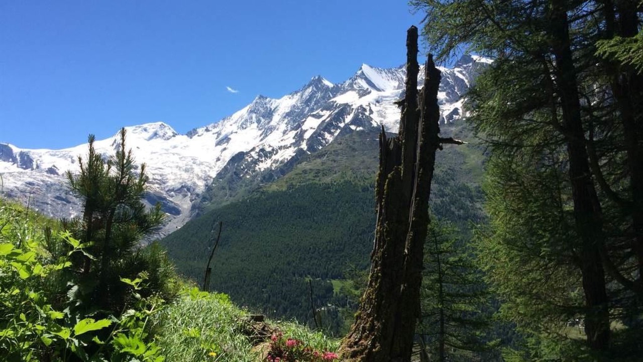 Photo of Outdoor in Saas Grund