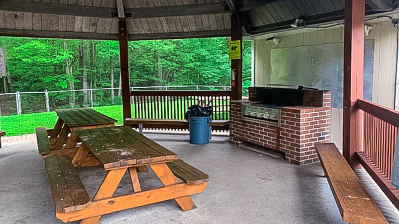 Photo of Outdoor in Bartlett