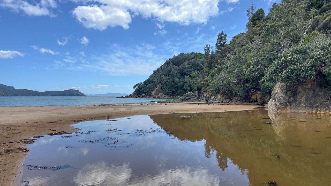 Photo of Others in Waikawau