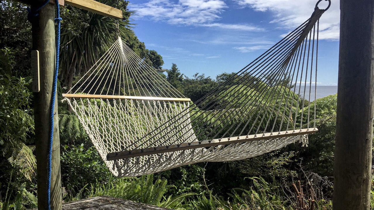 Photo of Others in Waikawau