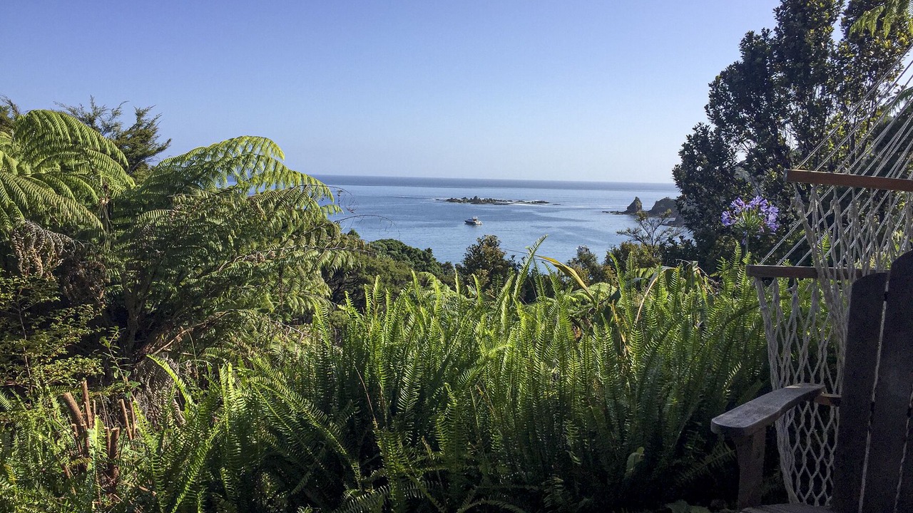 Photo of Others in Waikawau