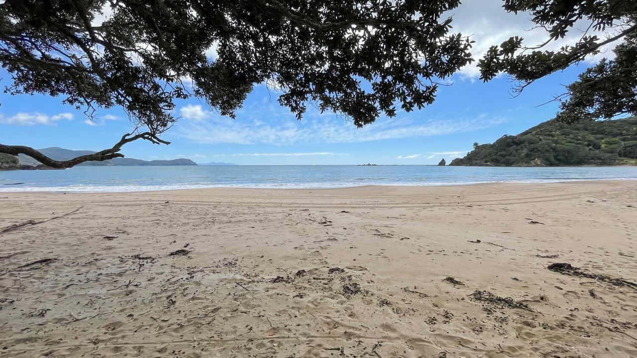 Photo of Others in Waikawau