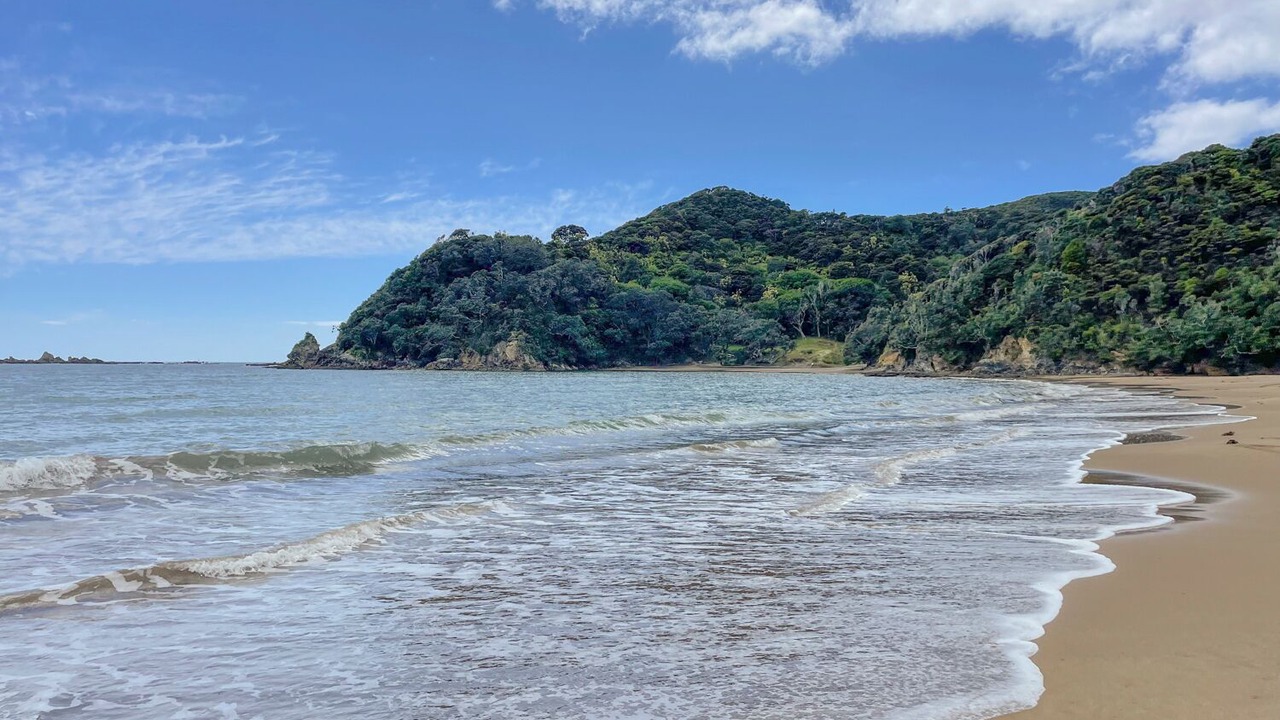 Photo of Others in Waikawau