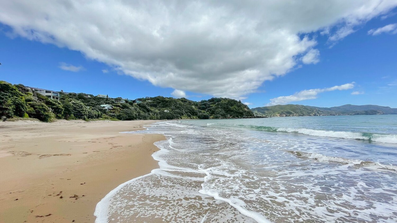 Photo of Others in Waikawau