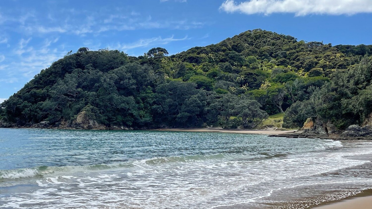 Photo of Others in Waikawau