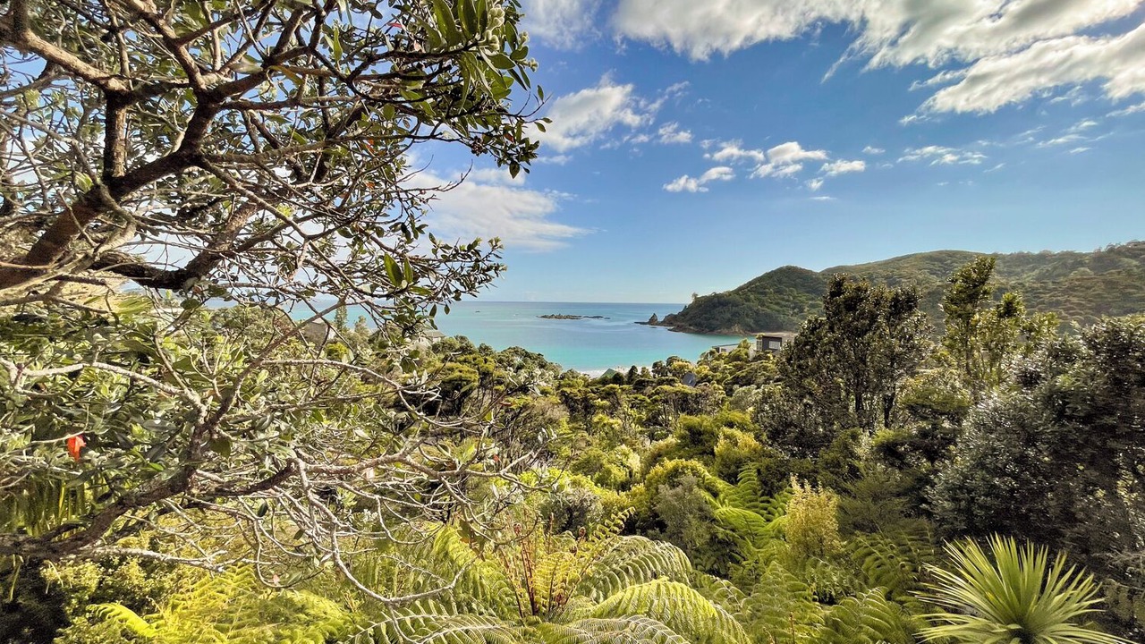 Photo of Others in Waikawau