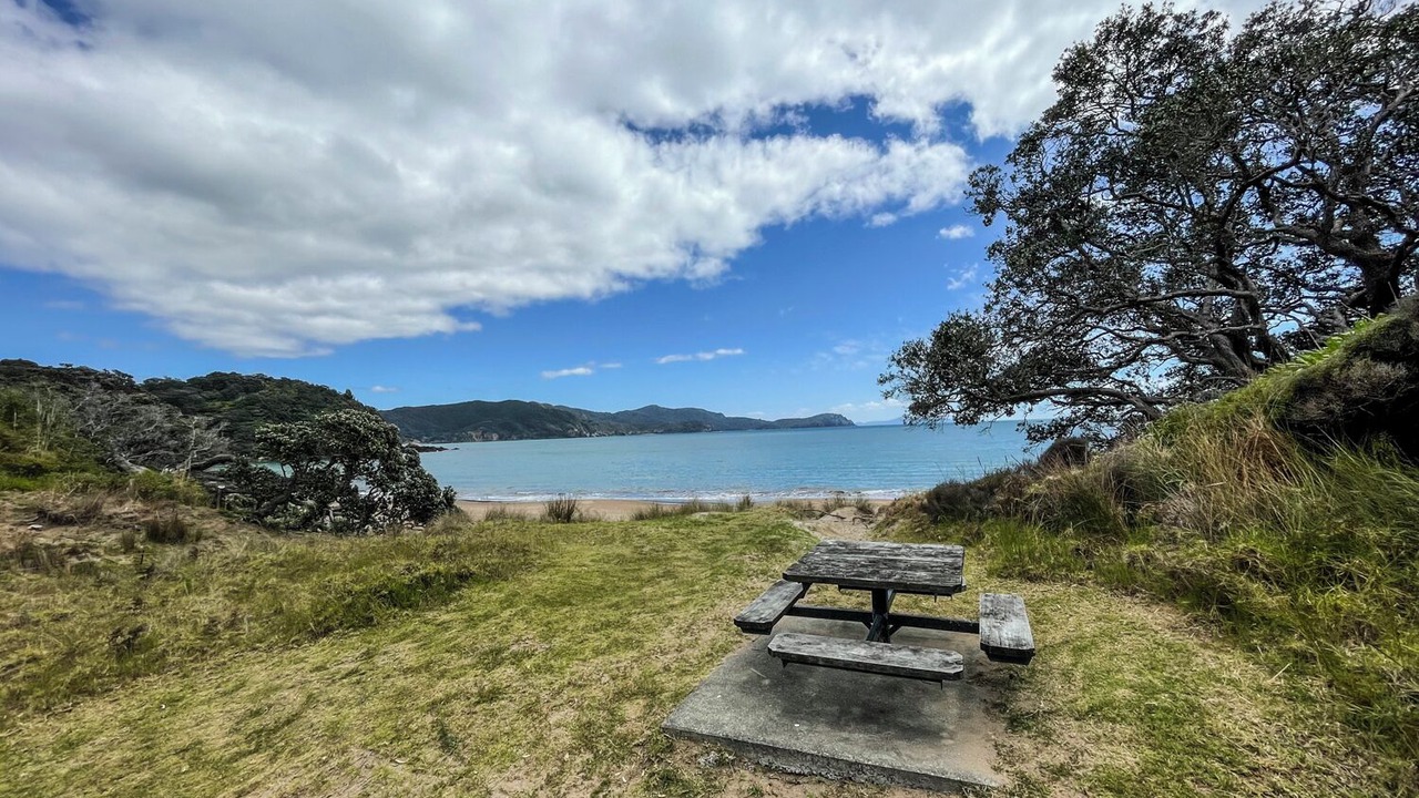 Photo of Others in Waikawau