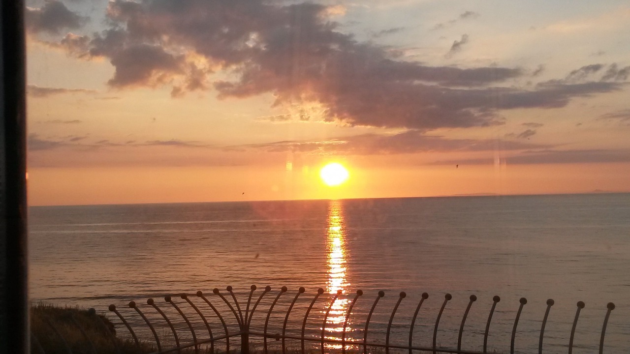 Photo of Others in Borth