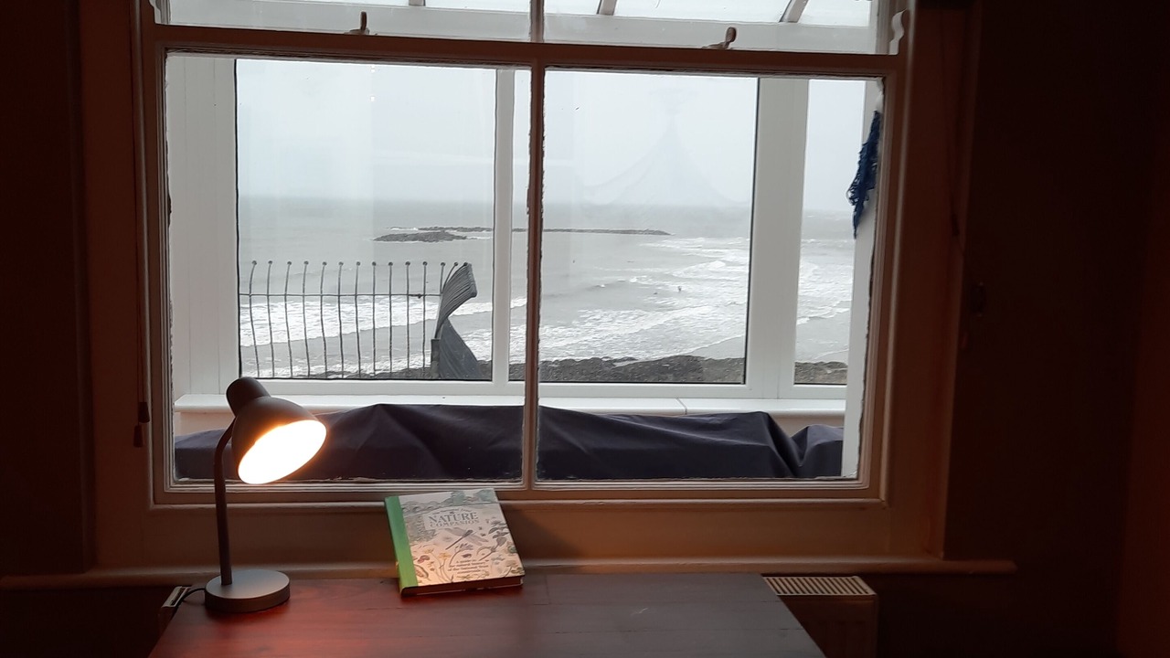 Photo of Others in Borth