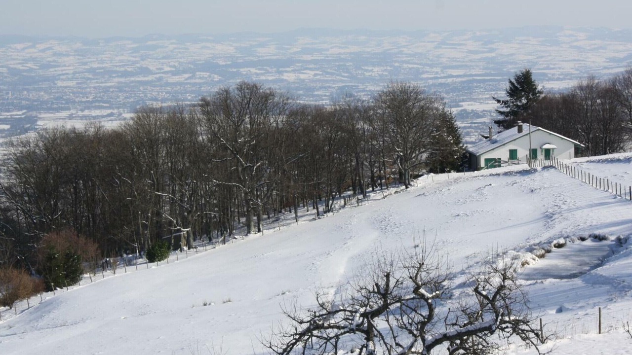 Photo of Others in Arcon