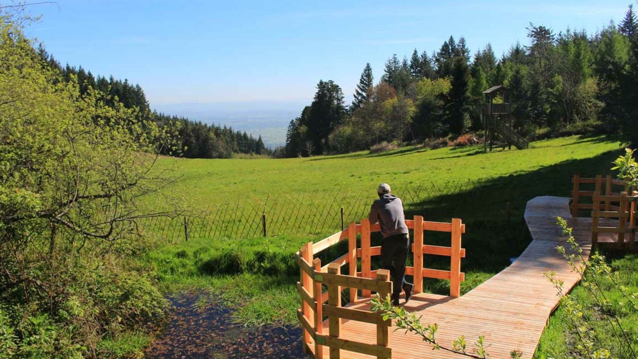 Photo of Others in Arcon