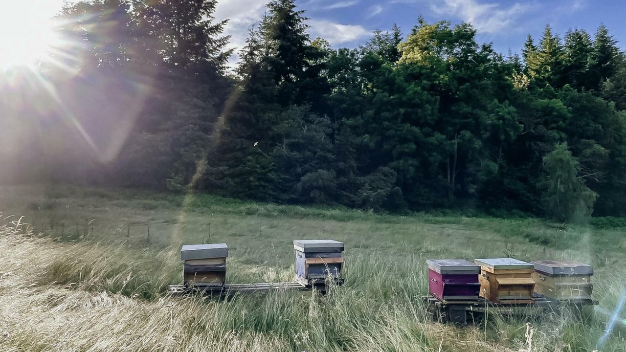 Photo of Outdoor in Arcon