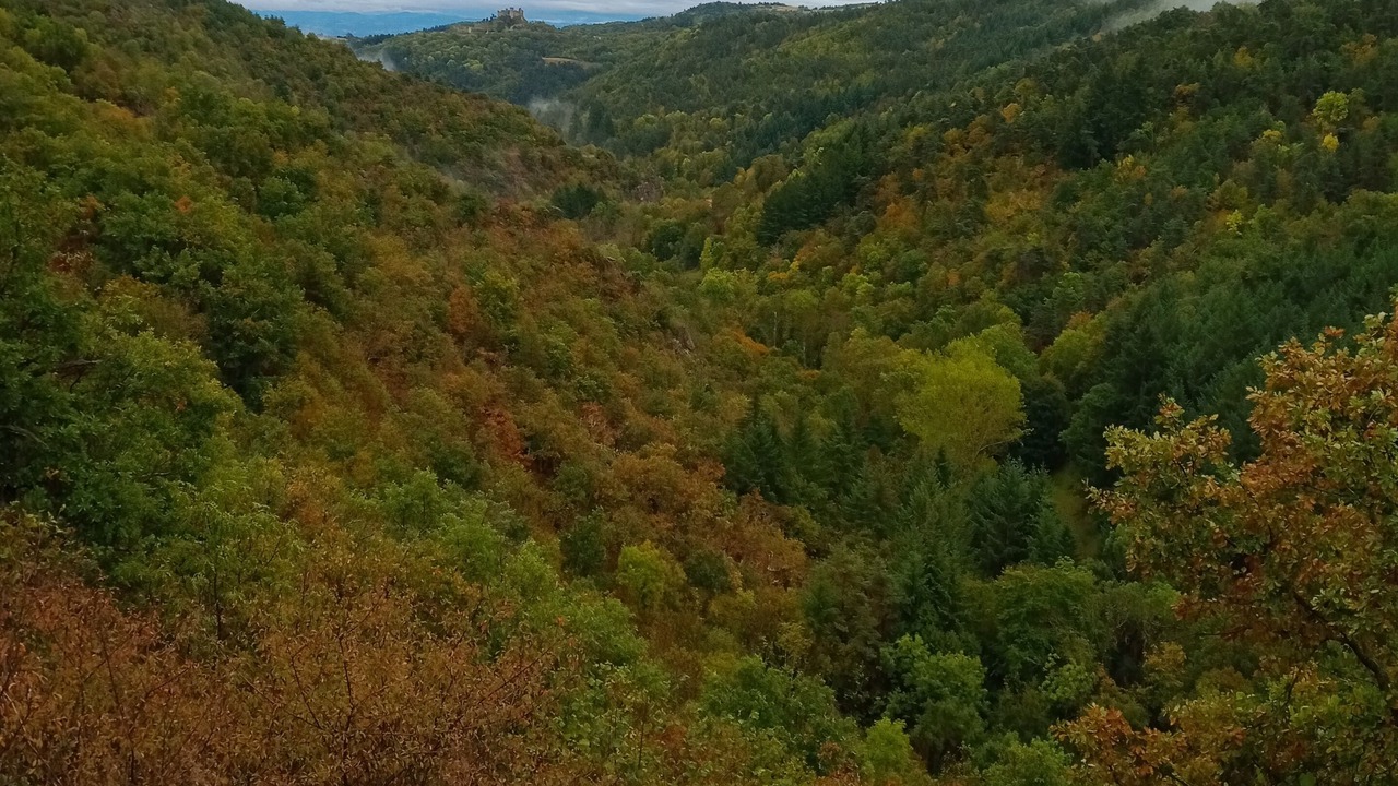 Photo of Others in Saint-Just-en-Bas