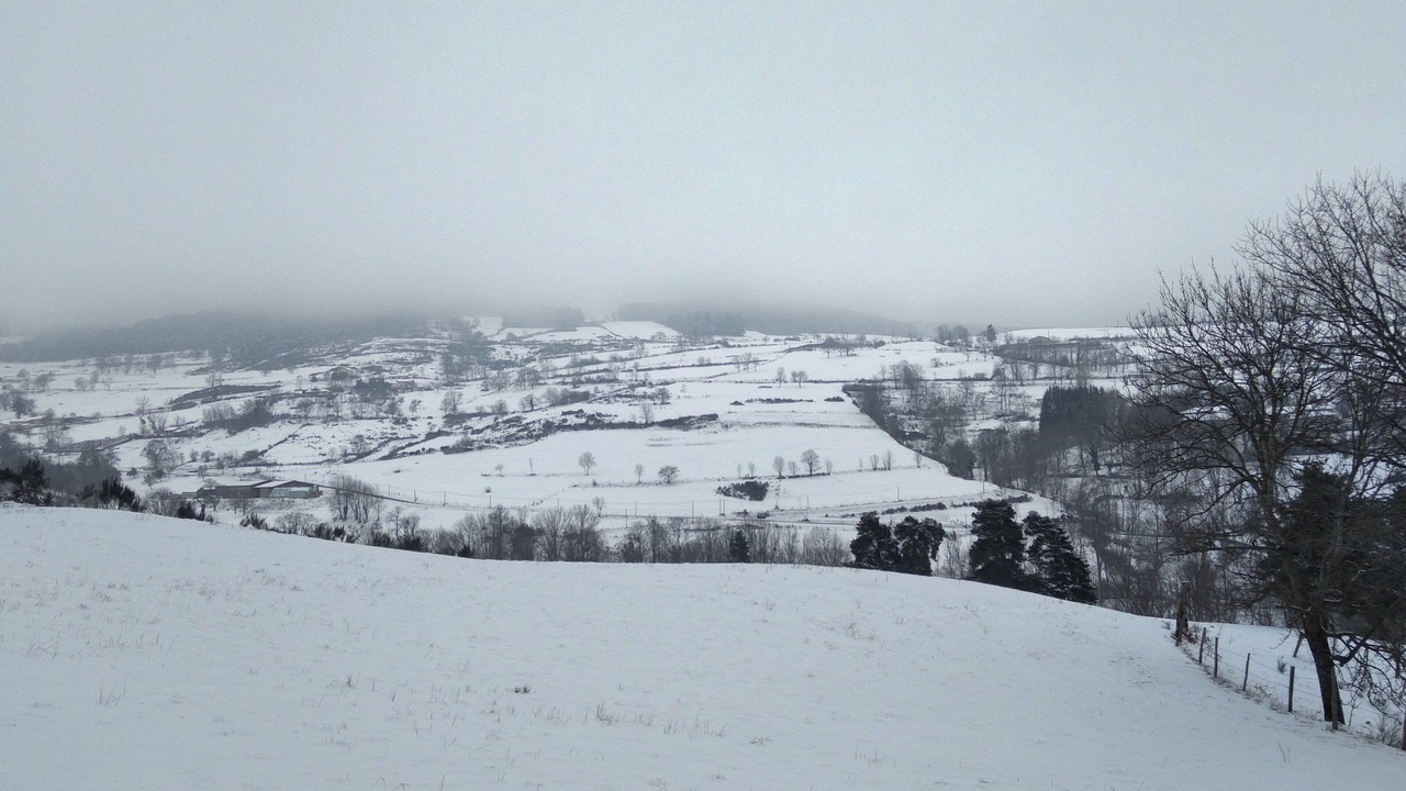 Photo of Others in Saint-Just-en-Bas