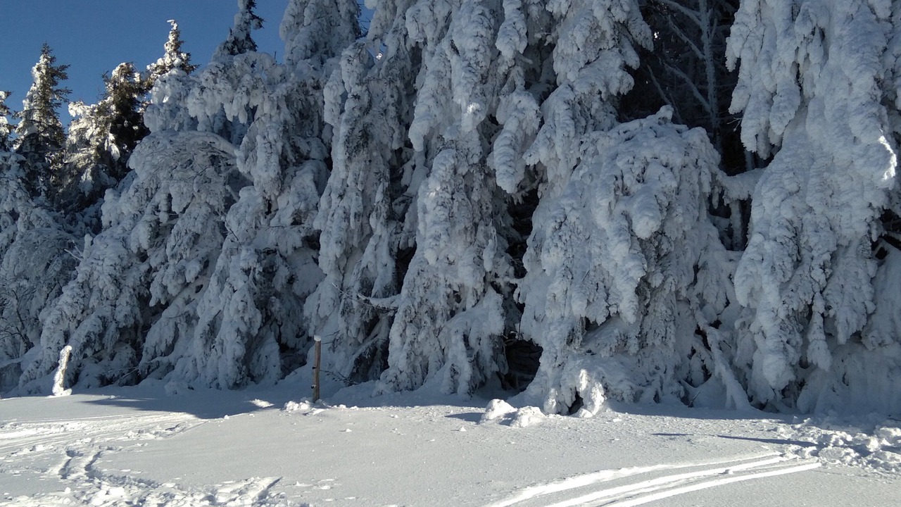 Photo of Outdoor in Saint-Just-en-Bas