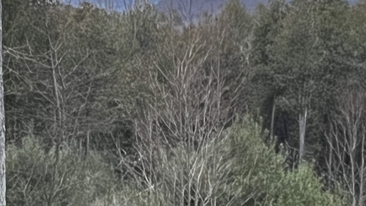 Photo of Others in Wevertown
