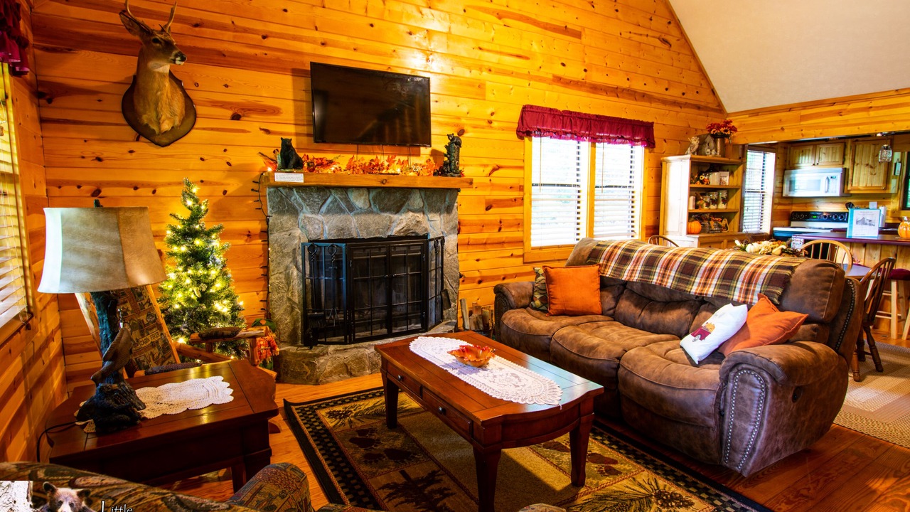 Photo of Livingroom in Young Harris