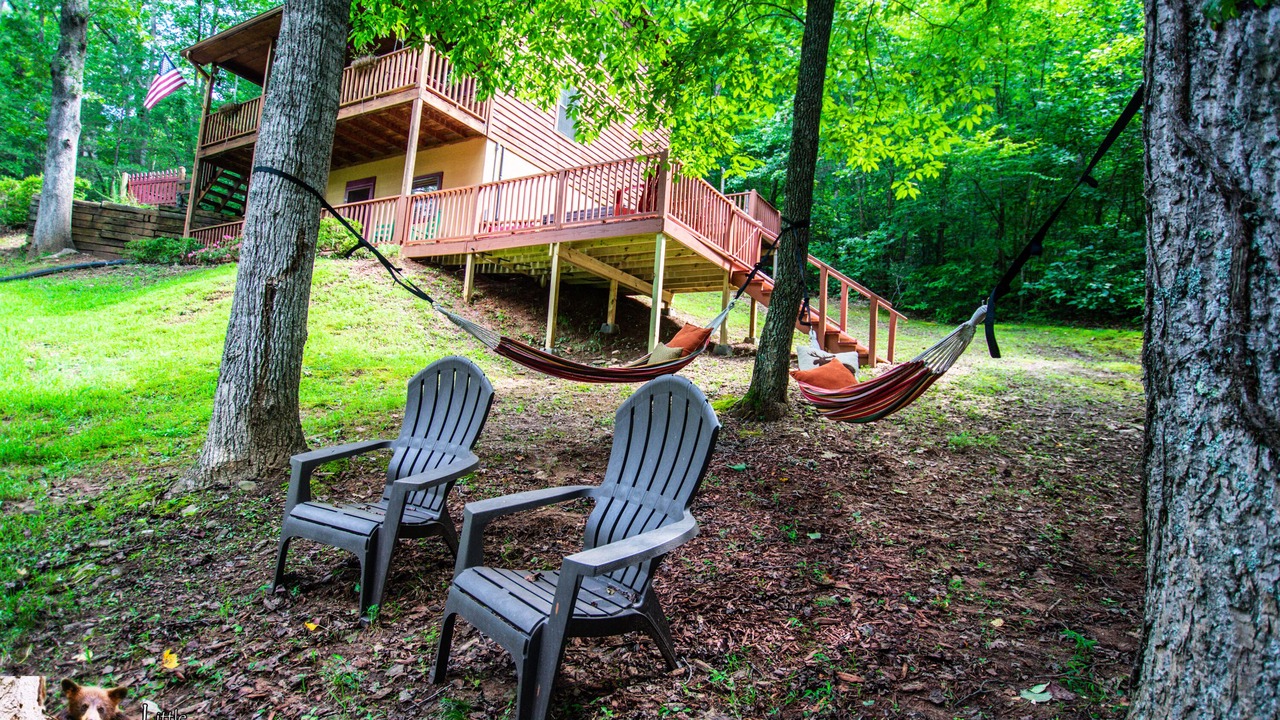 Photo of Outdoor in Young Harris