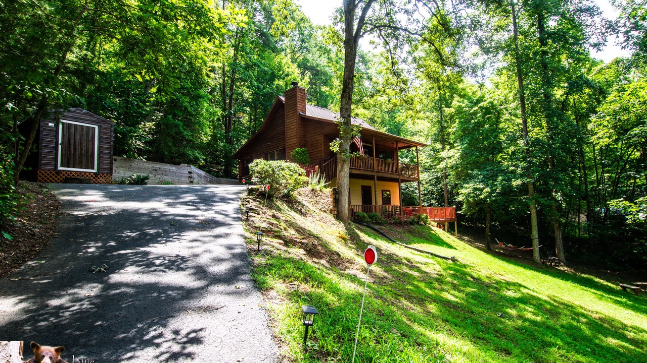 Photo of Outdoor in Young Harris