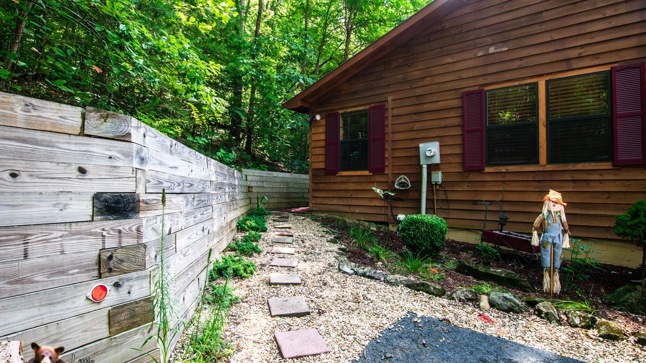 Photo of Outdoor in Young Harris