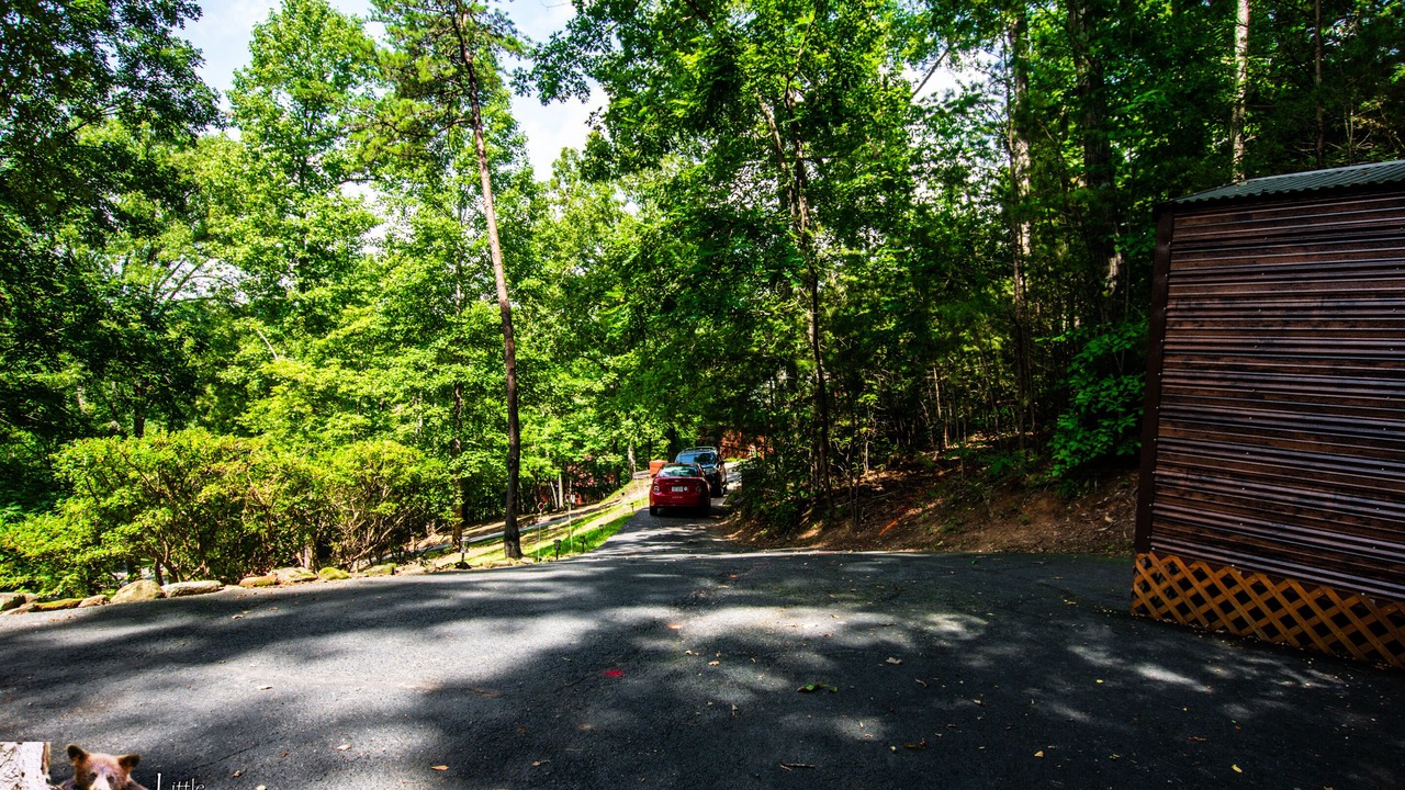 Photo of Outdoor in Young Harris