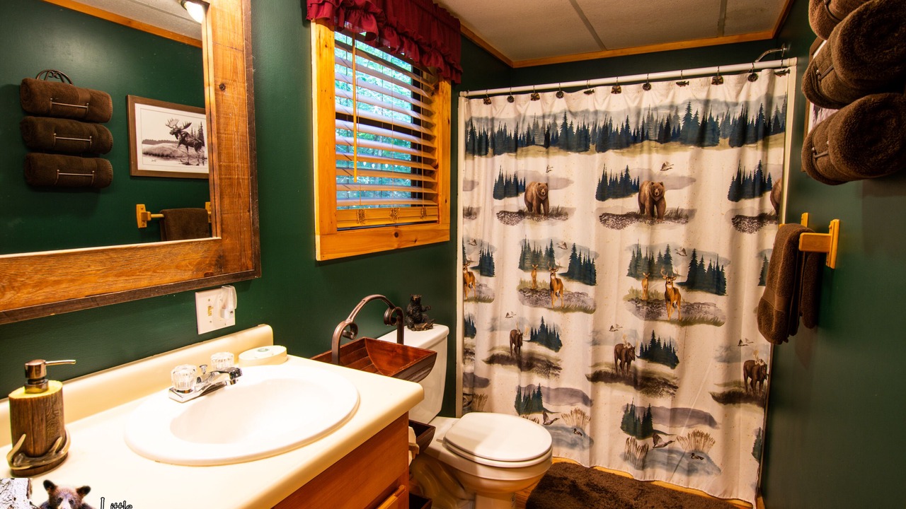 Photo of Bathroom in Young Harris