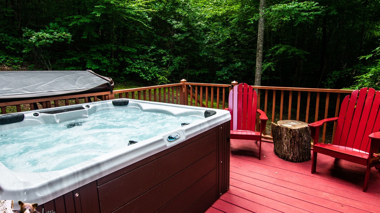 Photo of Outdoor in Young Harris