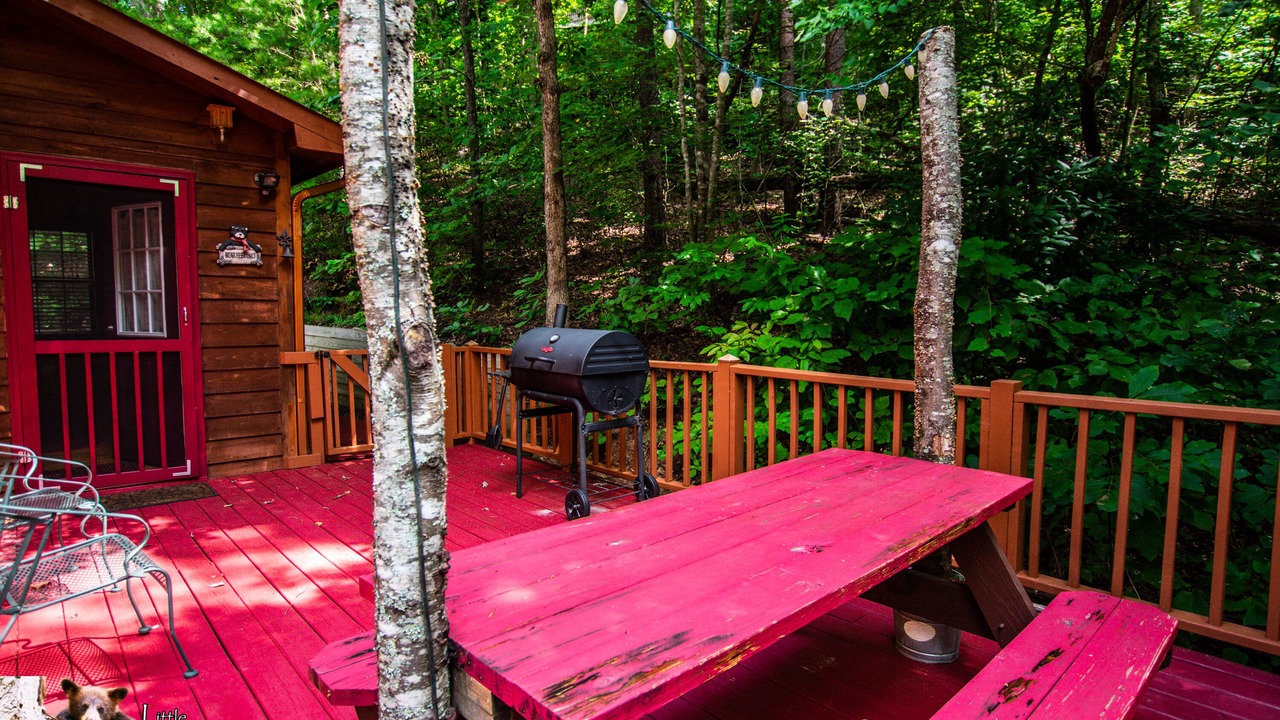 Photo of Outdoor in Young Harris