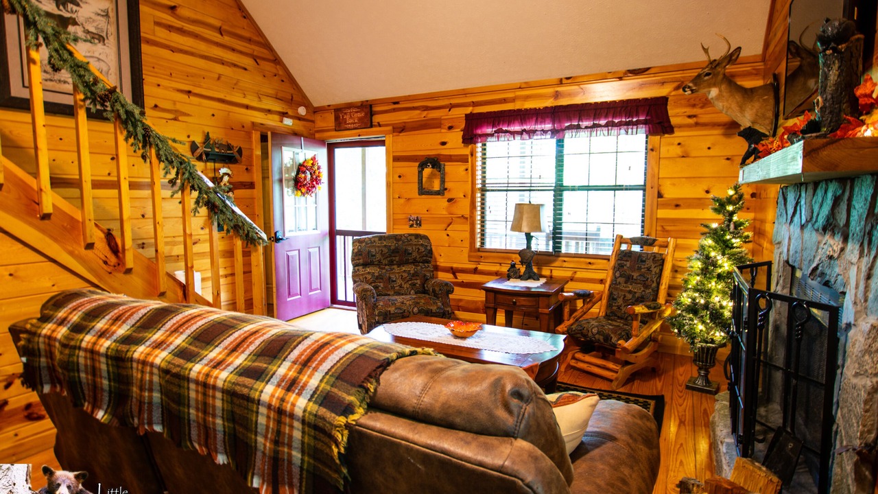 Photo of Livingroom in Young Harris