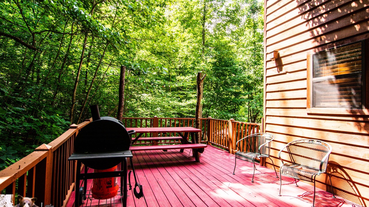 Photo of Outdoor in Young Harris