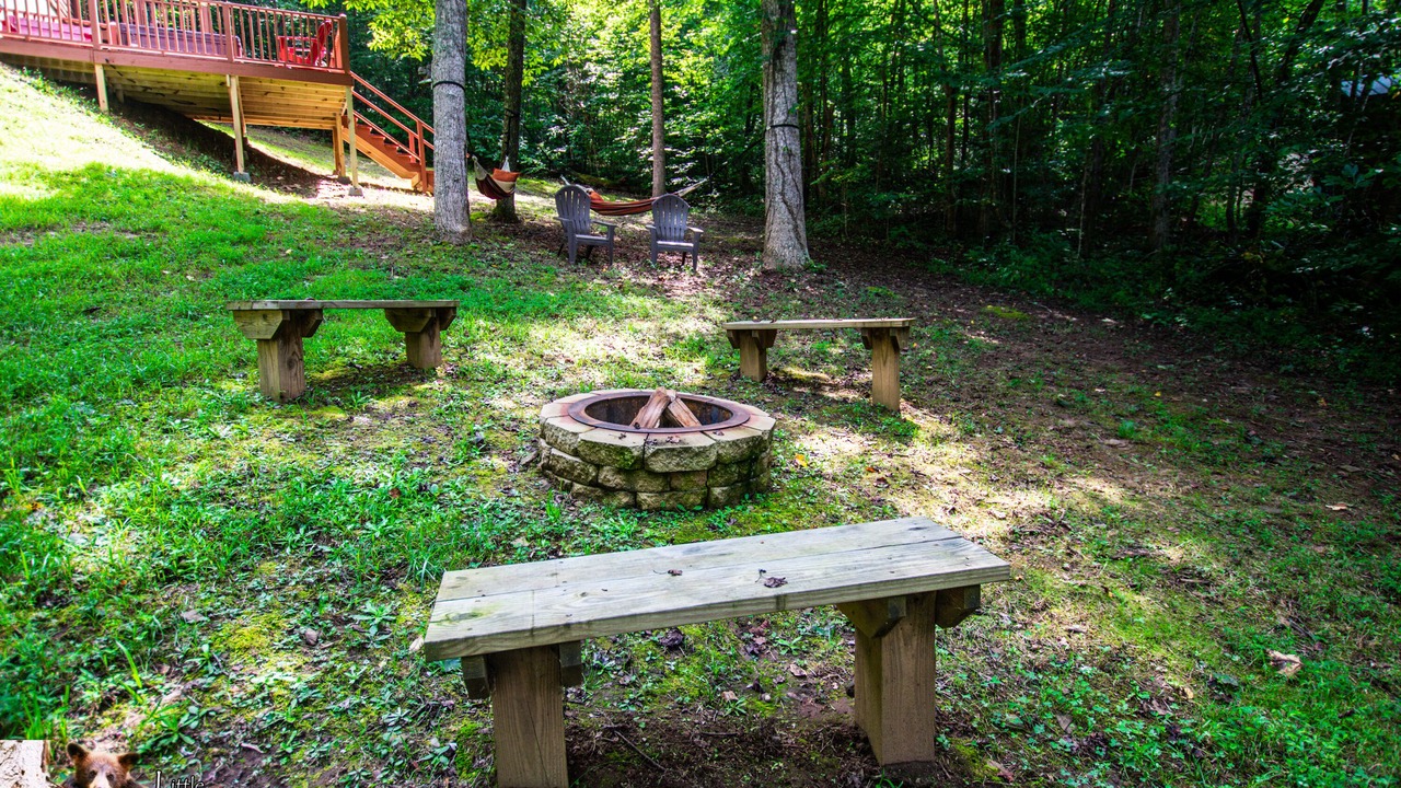 Photo of Outdoor in Young Harris