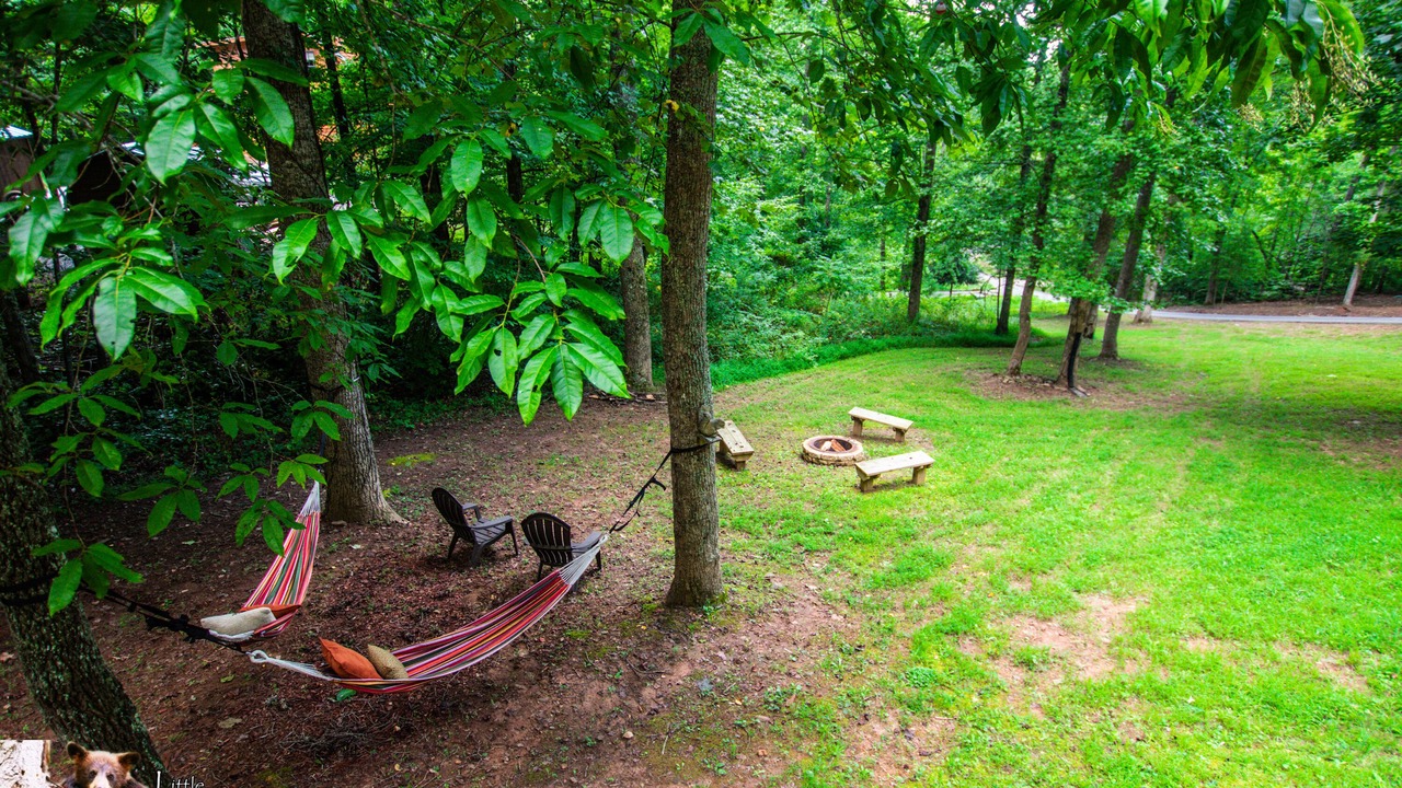 Photo of Outdoor in Young Harris