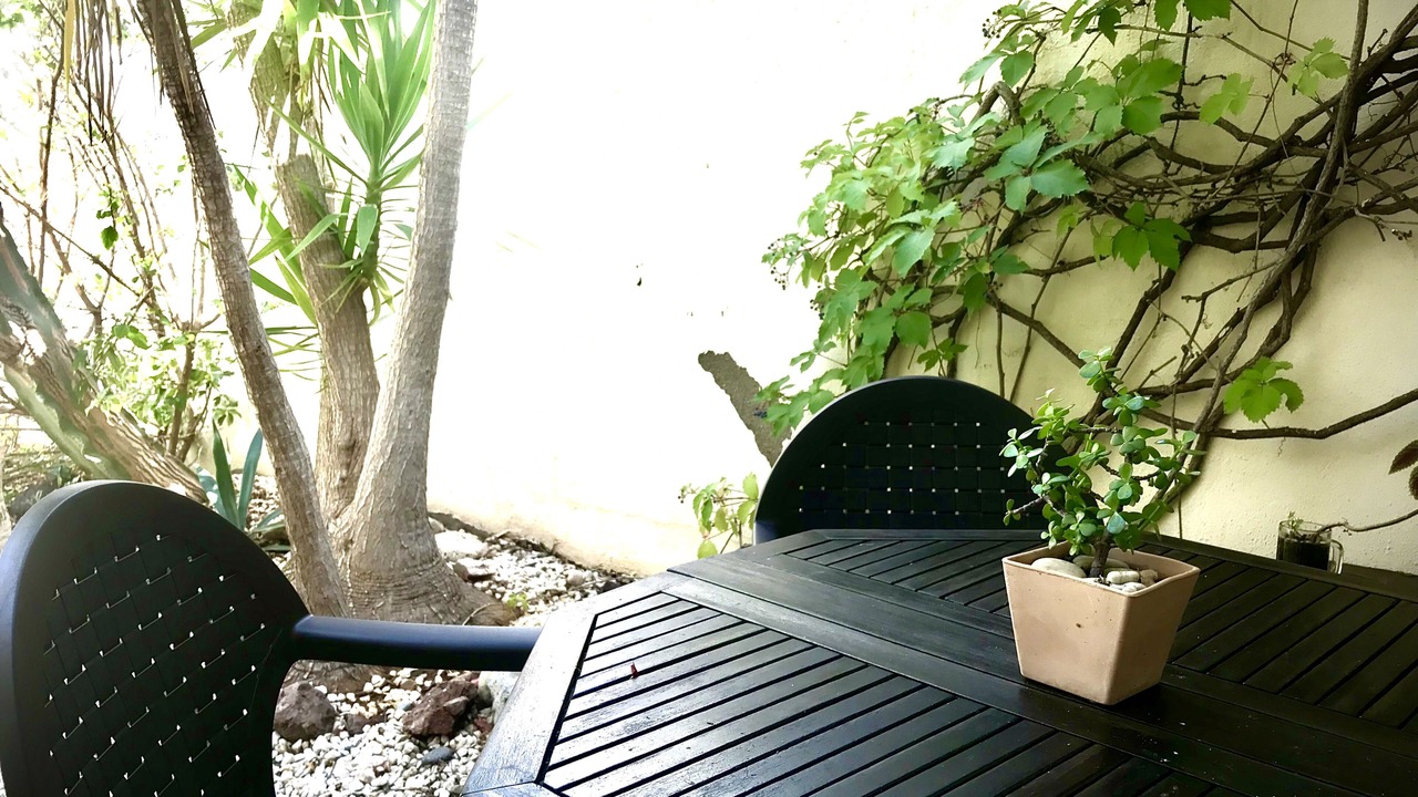 Photo of Outdoor in San Jose