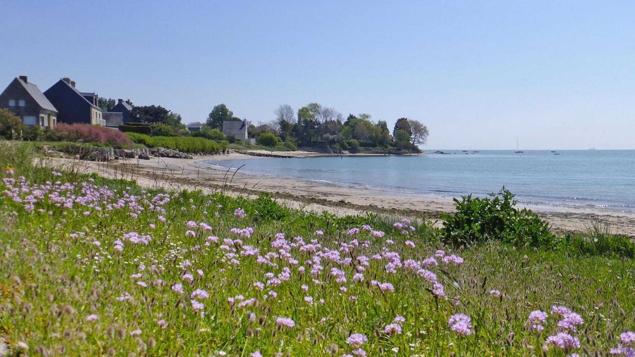 Photo of Others in Brucheville