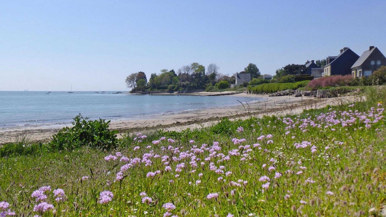 Photo of Others in Brucheville