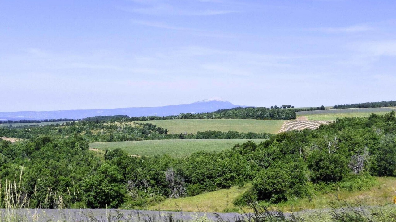Photo of Others in Revest-du-Bion