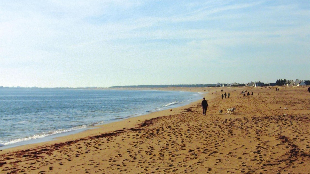 Photo of Others in Piriac-sur-Mer